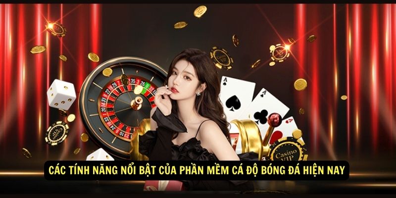 Cac tinh nang noi bat cua phan mem ca do bong da hien nay