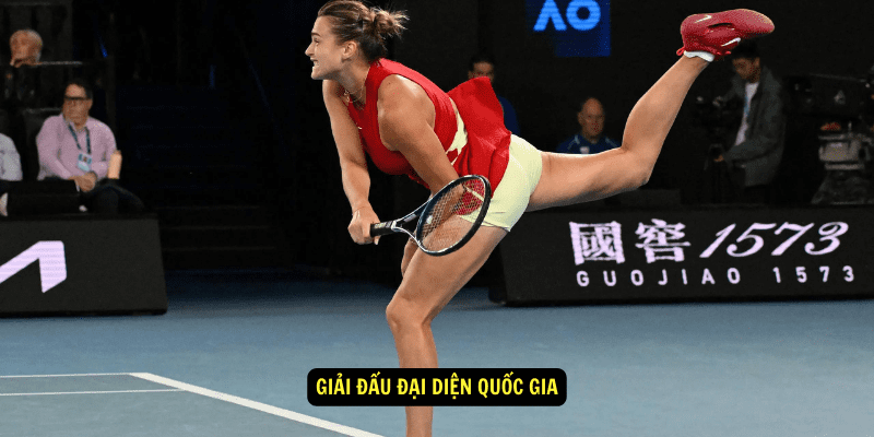 Giai dau dai dien quoc gia