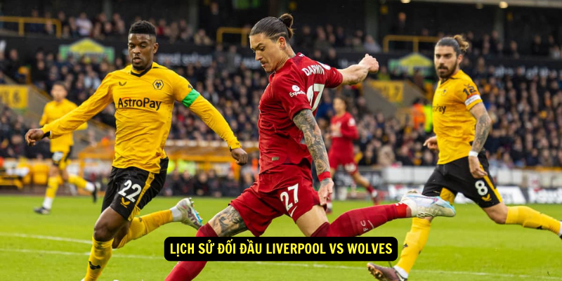 Lịch sử đối đầu Liverpool vs Wolves