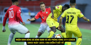 Nhan dinh bong da Binh Dinh vs Hai Phong vong 19 V League 18h00 ngay 1805 Chia diem o dat vo