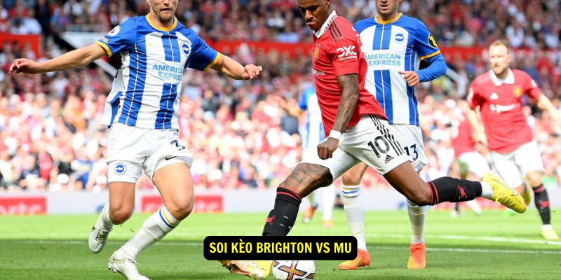 Soi kèo Brighton vs MU