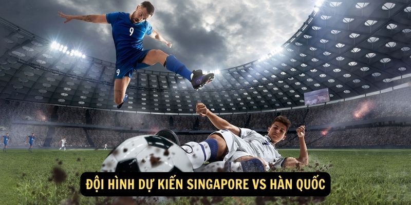 Đội hình dự kiến Singapore vs Hàn Quốc