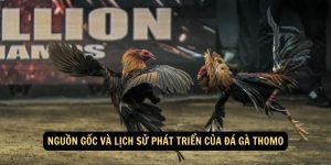 Nguon goc va lich su phat trien cua da ga Thomo 1